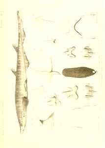 n420_w1150
