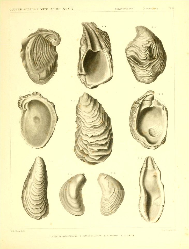 n208_w1150