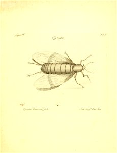 n34_w1150