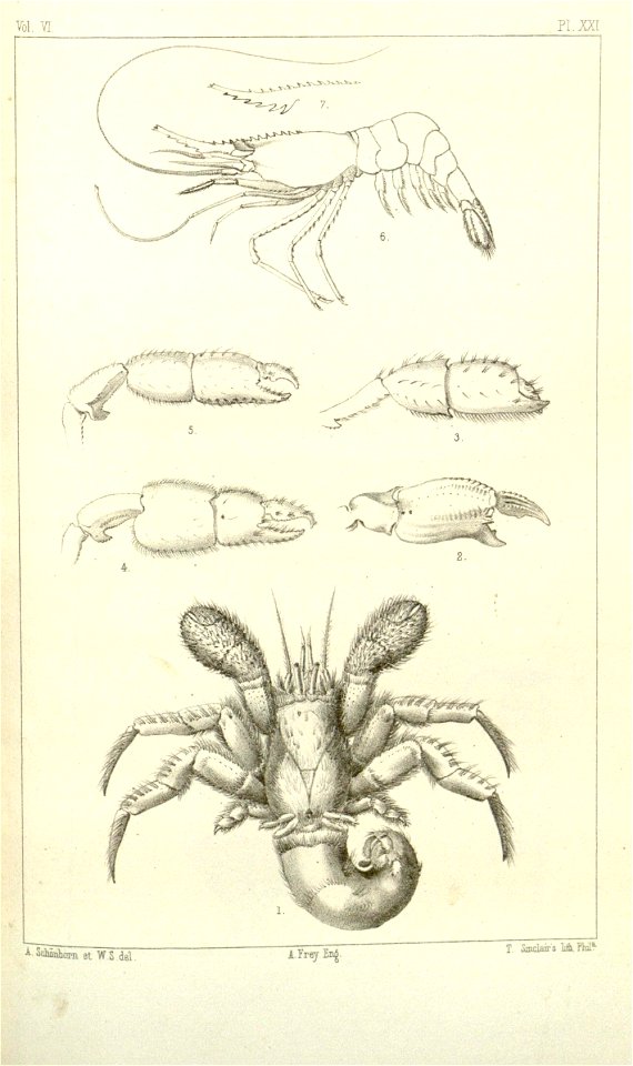 n592_w1150