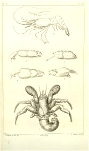 n592_w1150