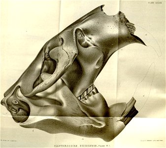 n471_w1150