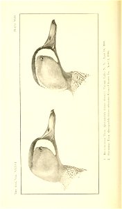 n563_w1150