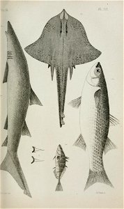 n416_w1150