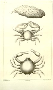 n591_w1150