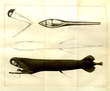 n148_w1150