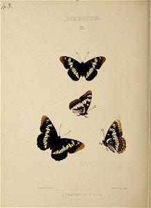 n235_w1150