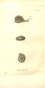 n553_w1150