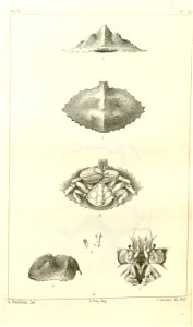 n590_w1150