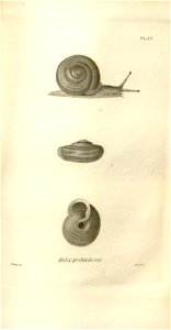n552_w1150