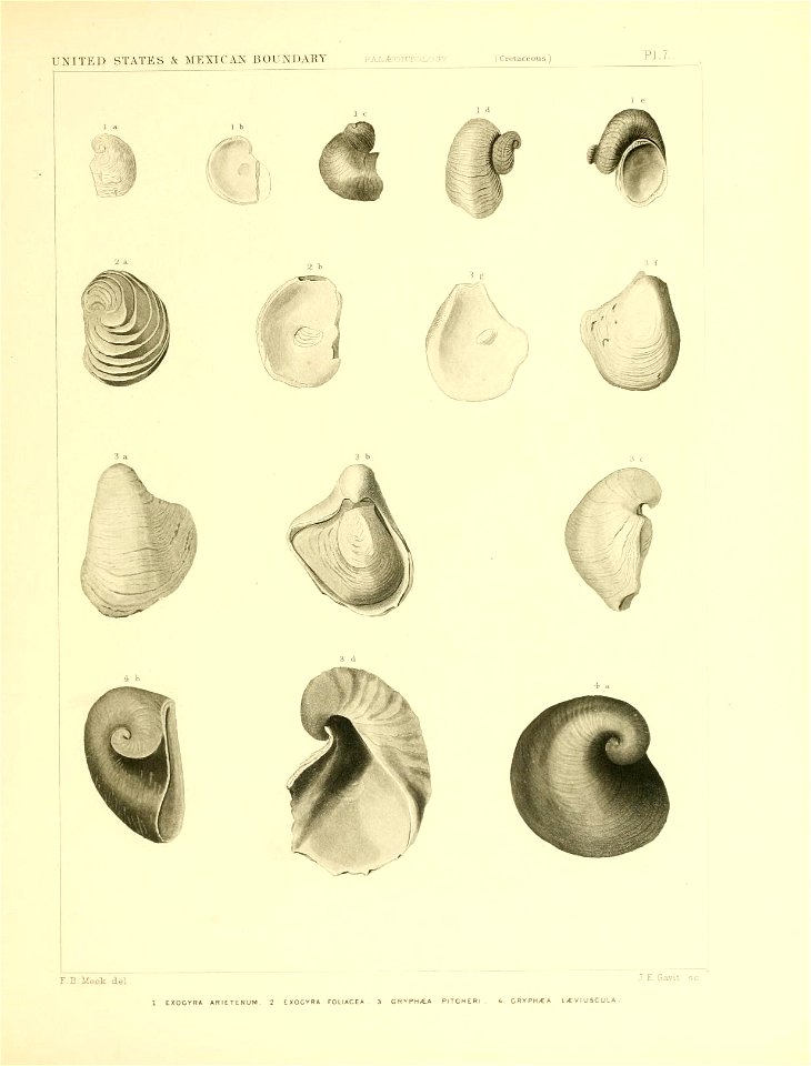 n200_w1150