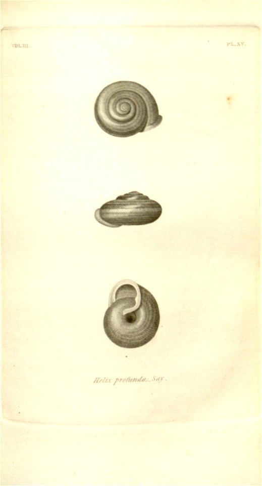 n551_w1150