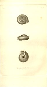 n551_w1150