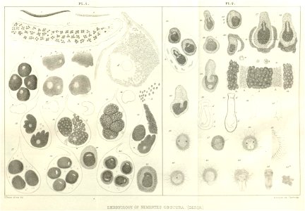 n145_w1150