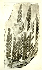 n467_w1150