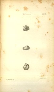 n553_w1150