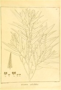 n192_w1150