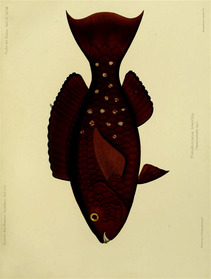 n316_w1150