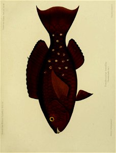 n316_w1150