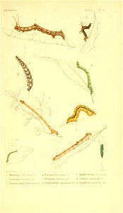 n126_w1150