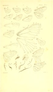 n124_w1150
