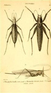 n838_w1150