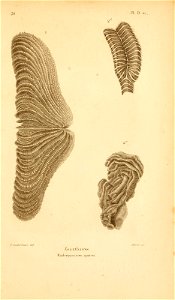 n58_w1150
