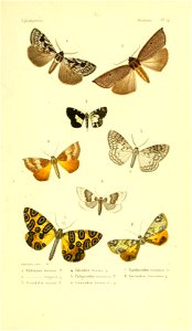 n154_w1150