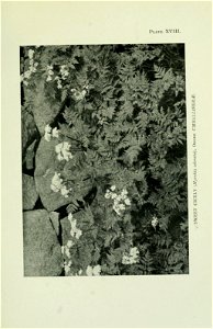 n258_w1150