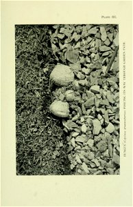 n116_w1150