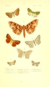 n152_w1150