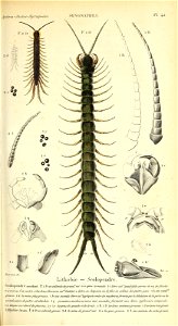 n820_w1150