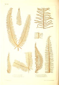 n489_w1150
