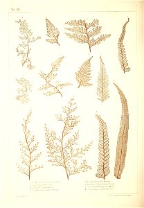 n459_w1150