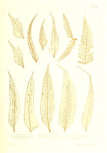 n414_w1150