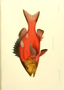 n170_w1150