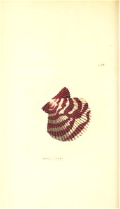 n106_w1150