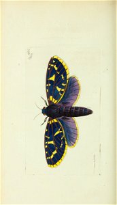 n221_w1150