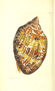 n193_w1150