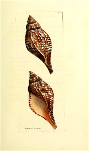 n14_w1150