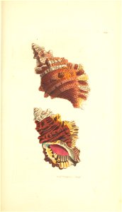 n209_w1150