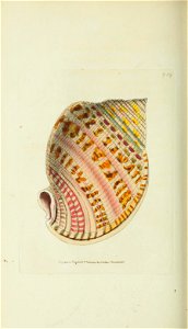 n215_w1150