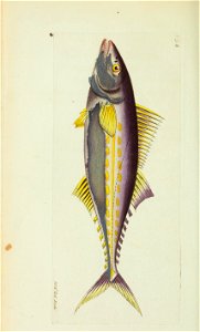 n161_w1150