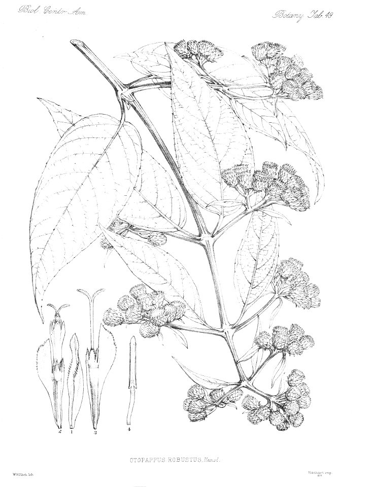 n56_w1150