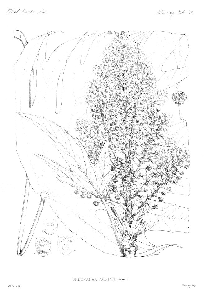 n41_w1150