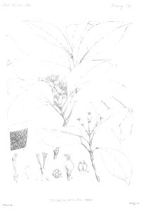 n11_w1150