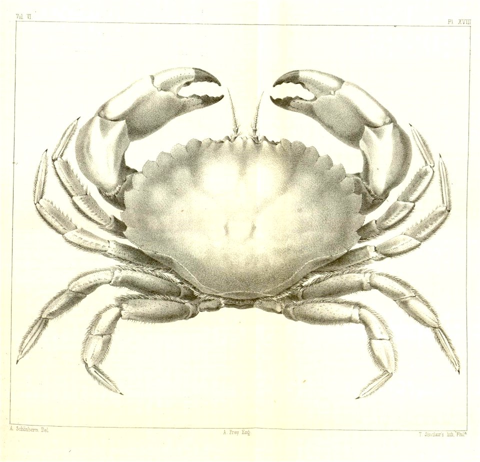 n589_w1150