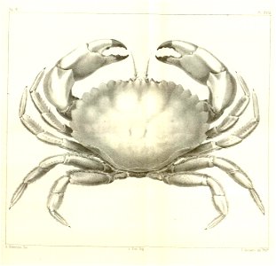 n589_w1150