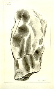 n468_w1150