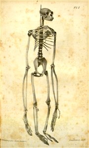 n539_w1150